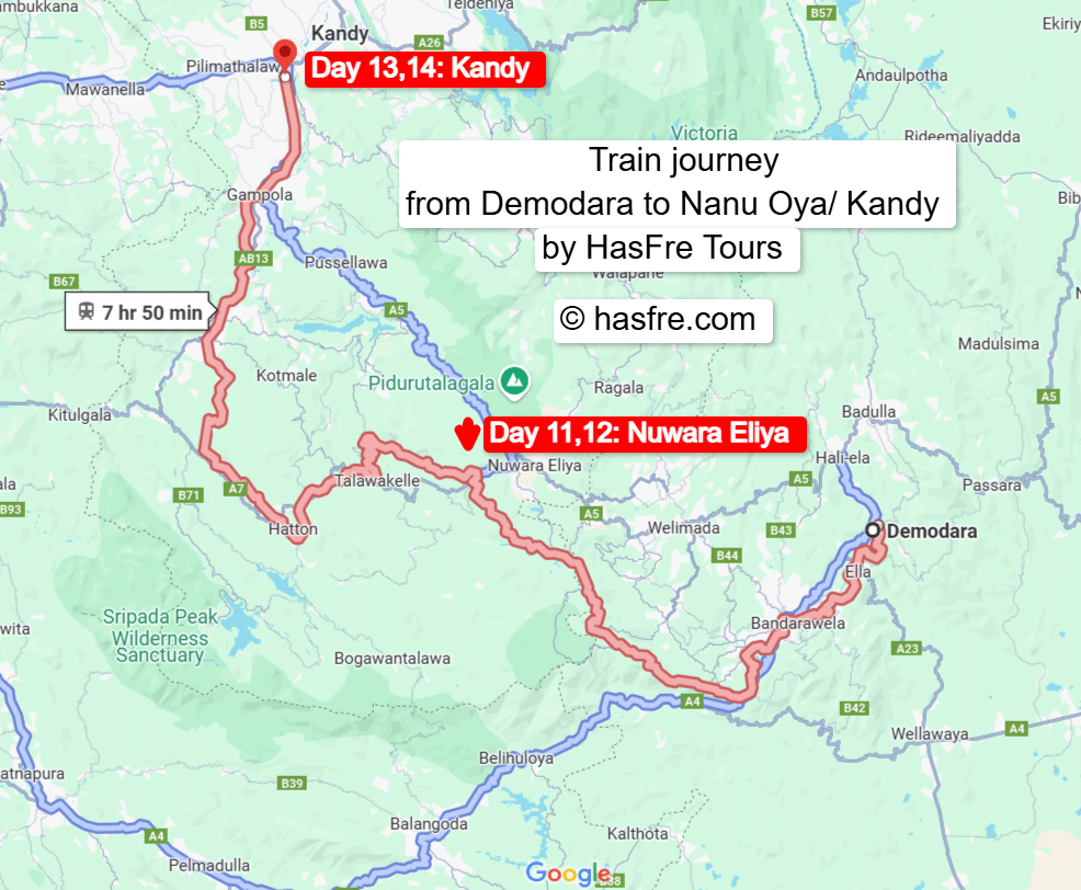 Demodara to Kandy by train- anti-clockwise round tour route plan by HasFre Tours